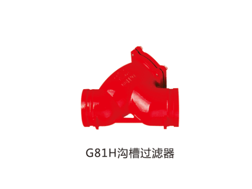 廣東G81H溝槽過濾器